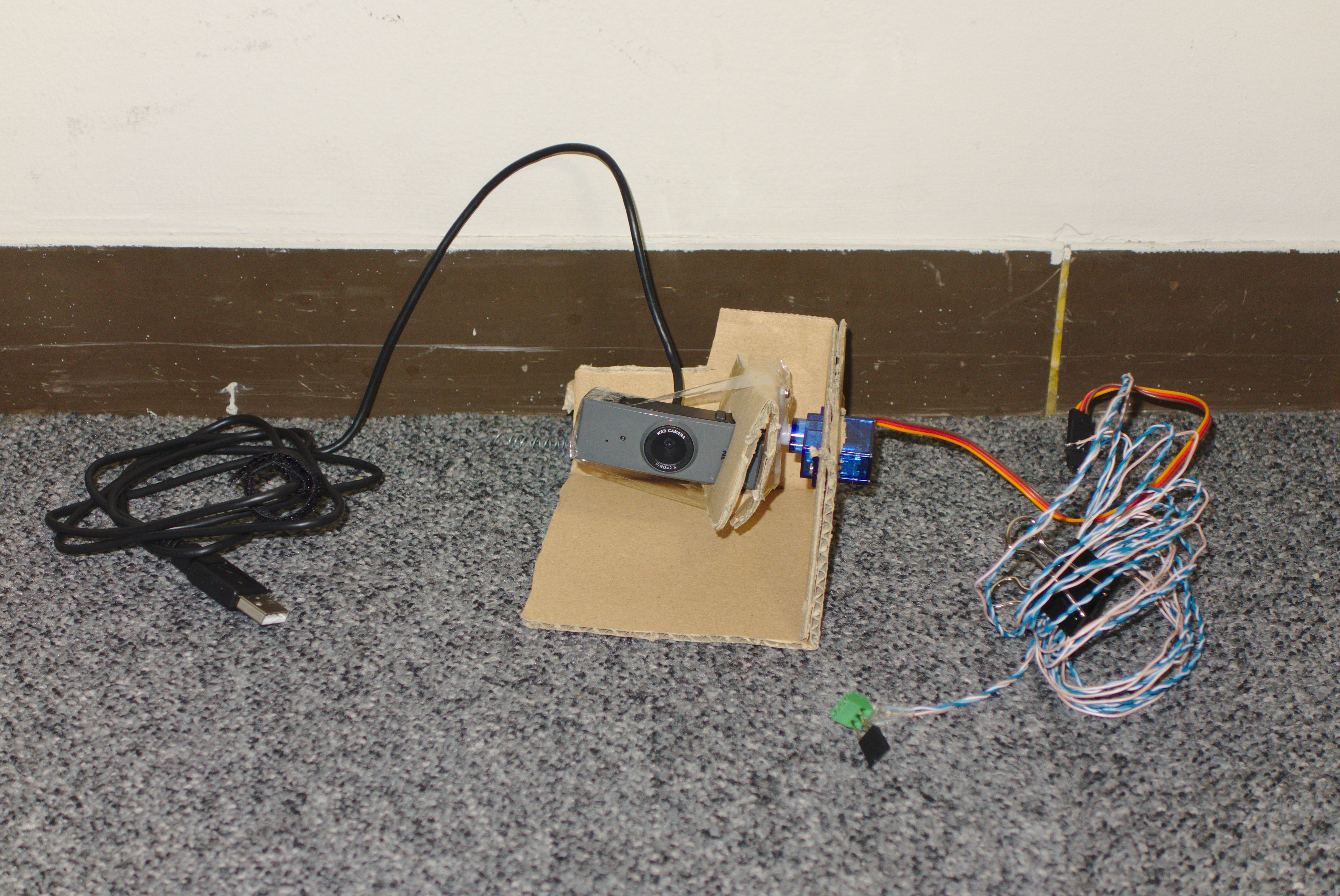 Buffalo Webcam, Servo and cardboard holder